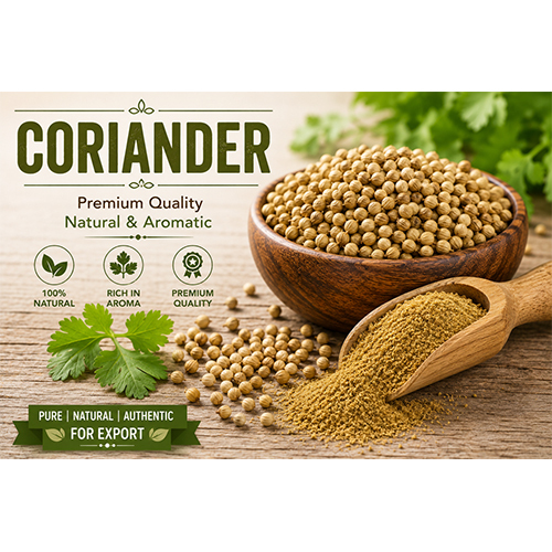 Coriander Seeds