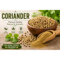 Coriander Powder