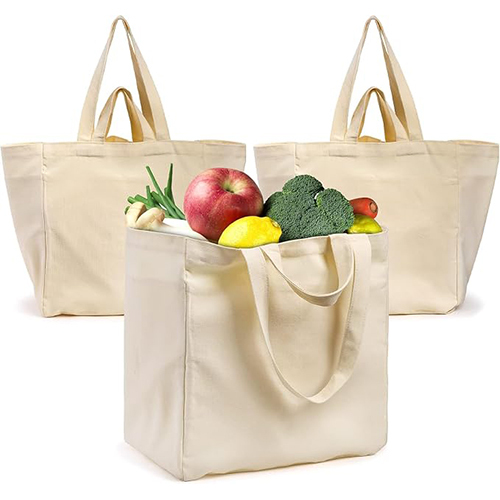 Grocery Bag