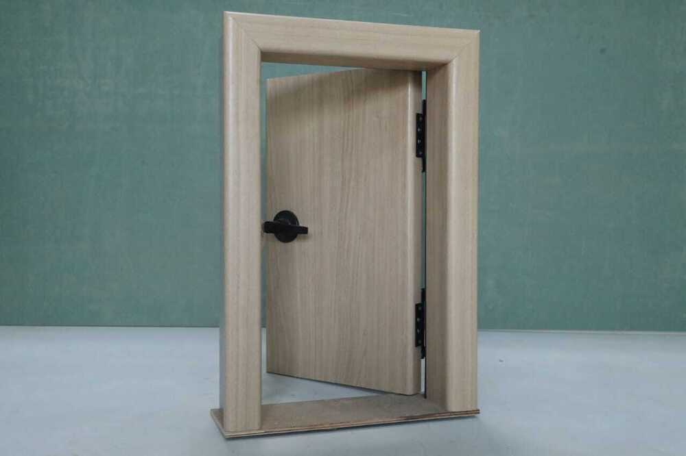 Water Proof Pinewood Door