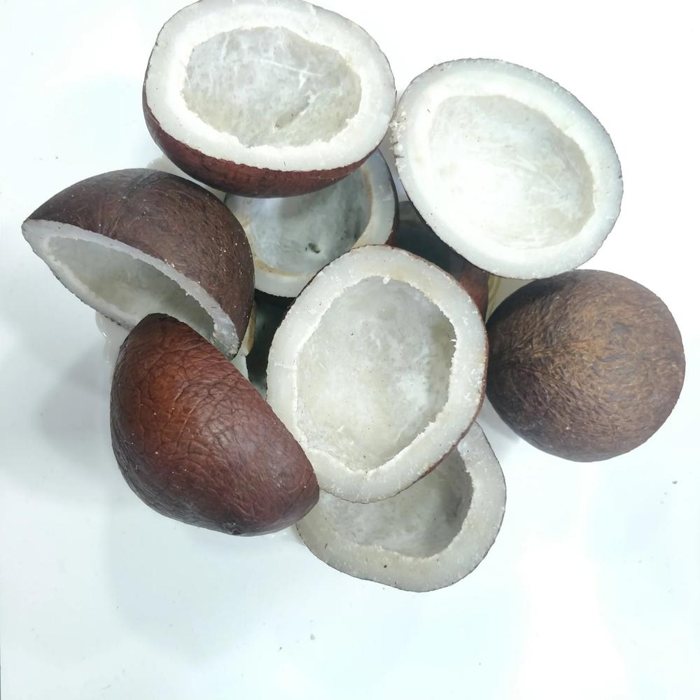 Rajapuri Copra