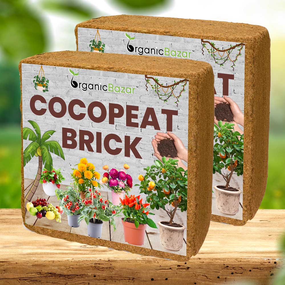 Cocopeat Blocks