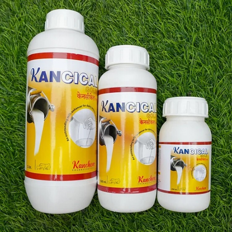 Kancical Gold Feed Supplement Liquid