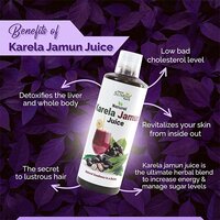 Karela Jamun Juice