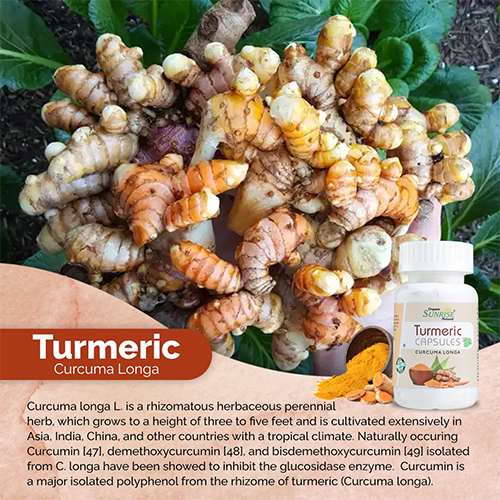 Turmeric Capsules