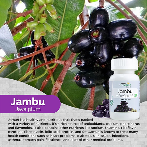 Jamun Capsules - Product Type: Herbal Medicine