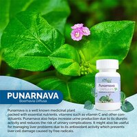Punarnava Capsules
