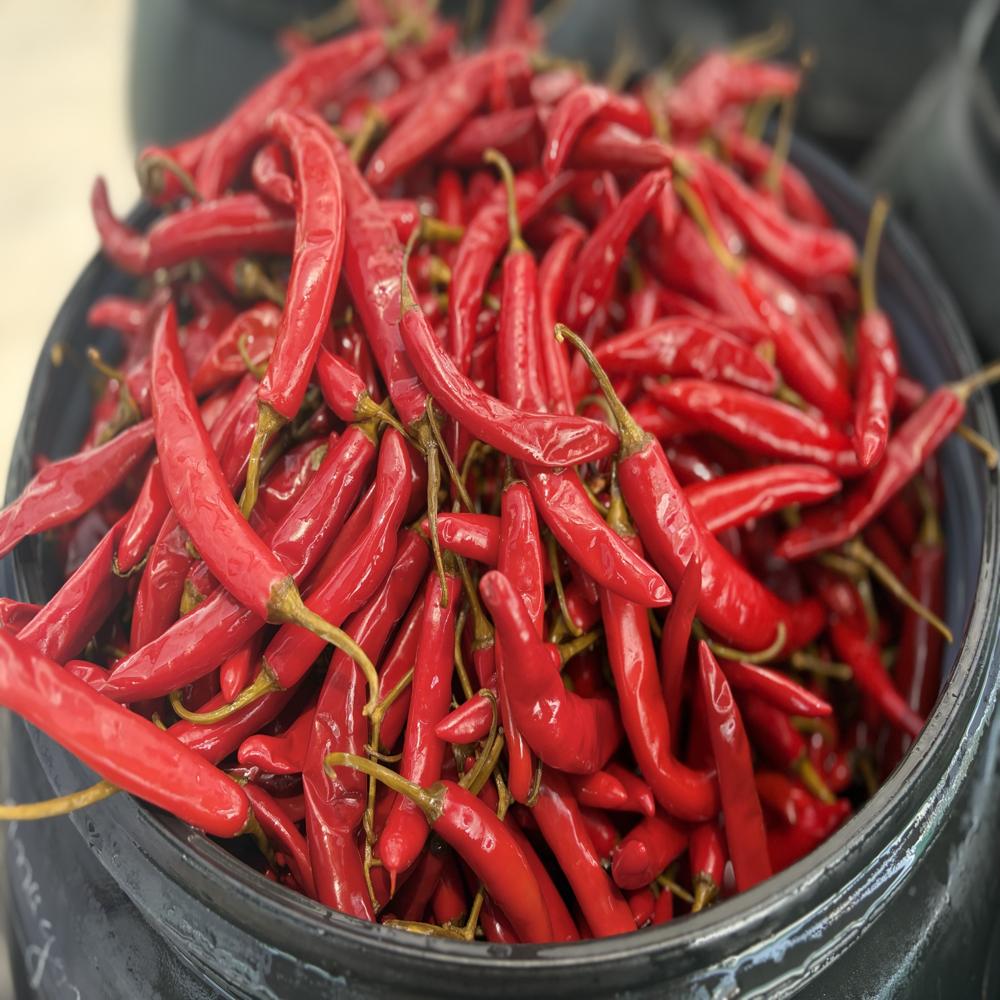 Preserved Red Paprika