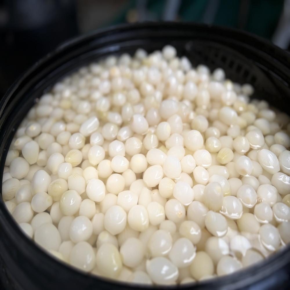 Silver Skin Onion