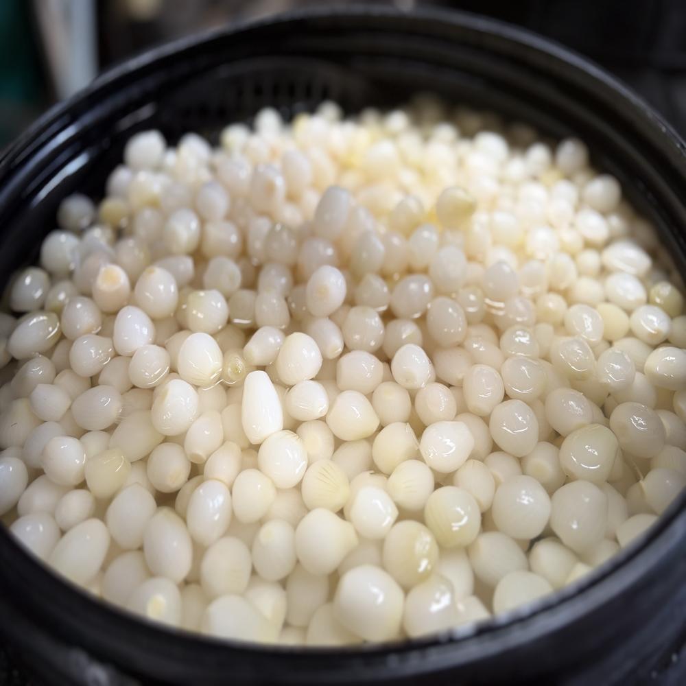Silver Skin Onion