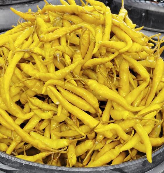 Preserved Green Chilli