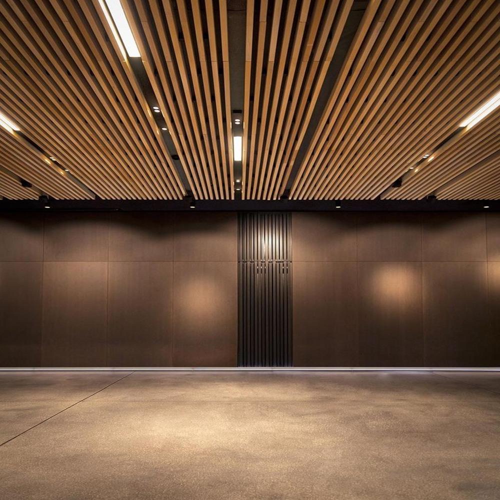 Metal Baffle Ceiling System - Color: Clint Choice