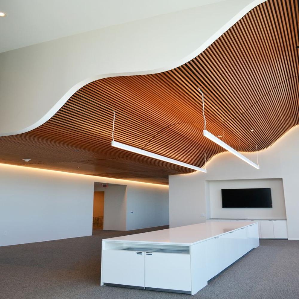 Metal Baffle Ceiling System - Color: Clint Choice