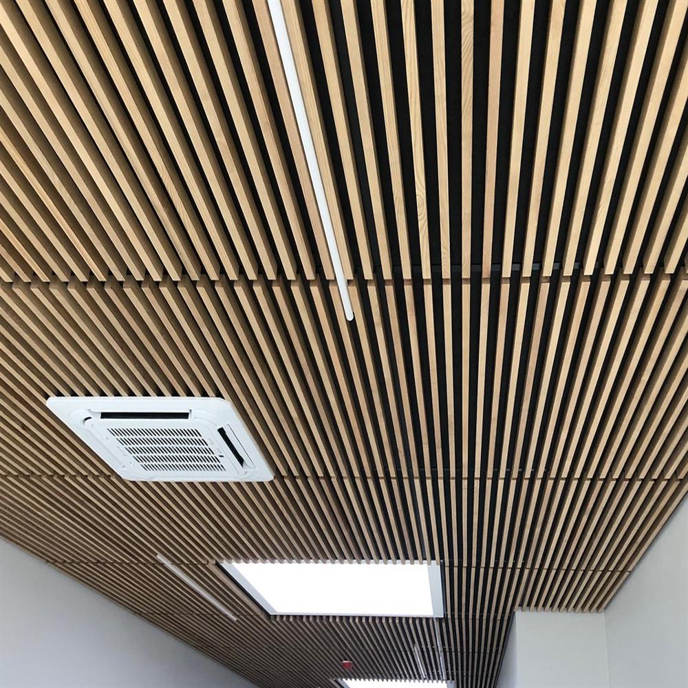 Metal Baffle Ceiling System - Color: Clint Choice