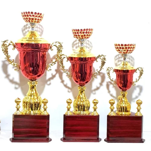 Designed Trophies For Sports Events