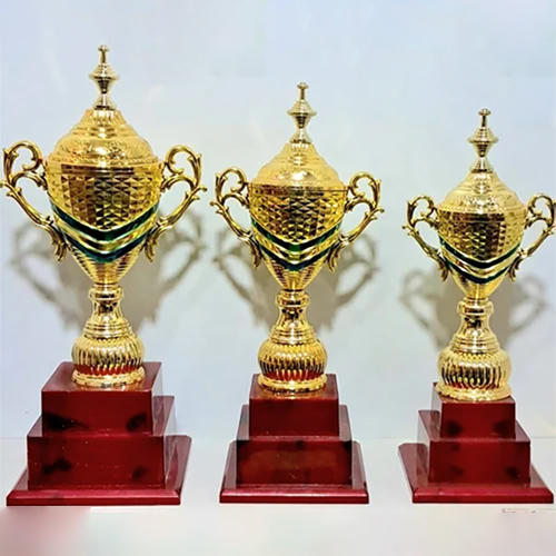 Double Step Award Trophies For Sports Events