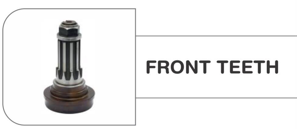 Front Teeth