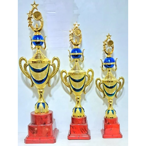 Metal Trophy