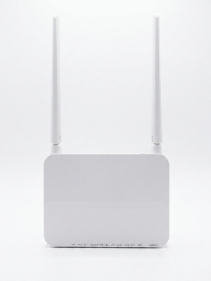 Dasan gpon