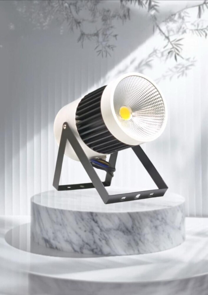 50 Watt Spot Light