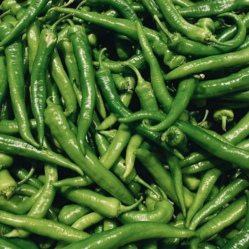 Fresh Green Chili