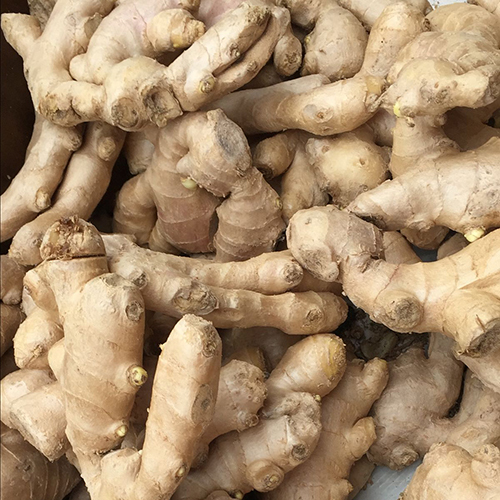 Fresh Ginger