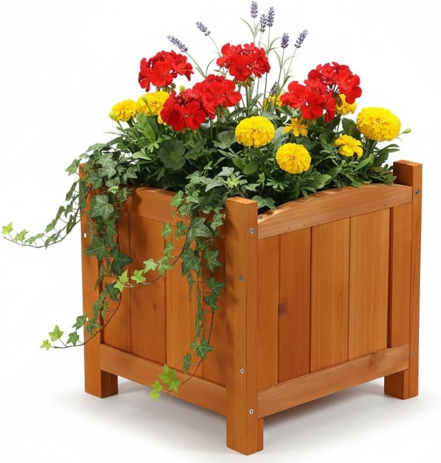 Wooden Coating Plants