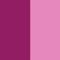 Red Violet R Pigment Paste
