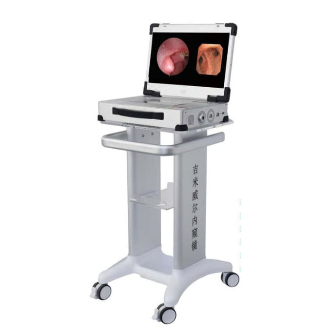 Endoscopy Laproscopy Systoscopy