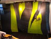 Gym Climbing Wall