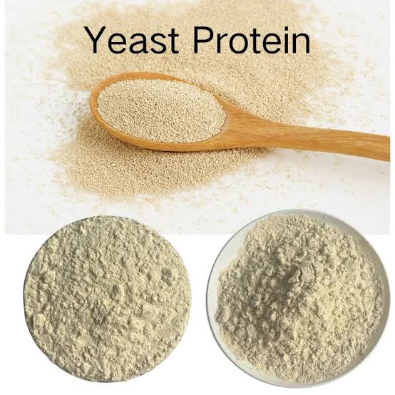 Yeast Protein - Best Before: 24 Months From Manufacturing Months