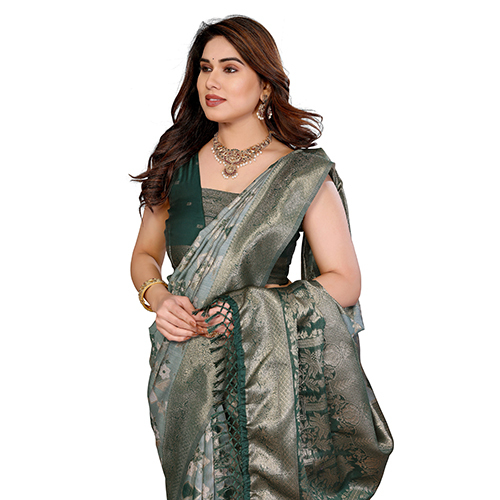 NB FS Fancy Saree