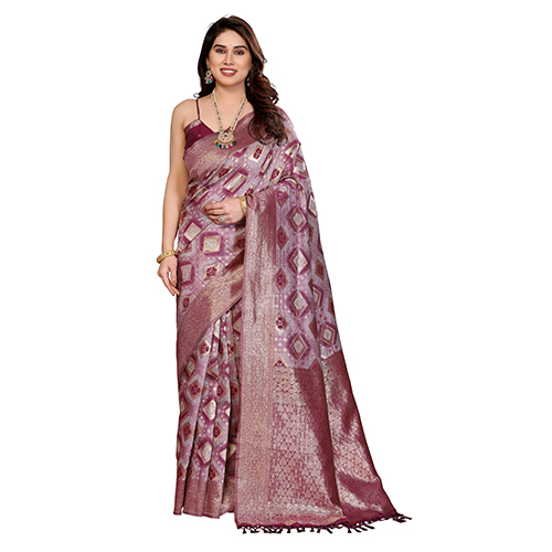 NB-S Fancy Saree