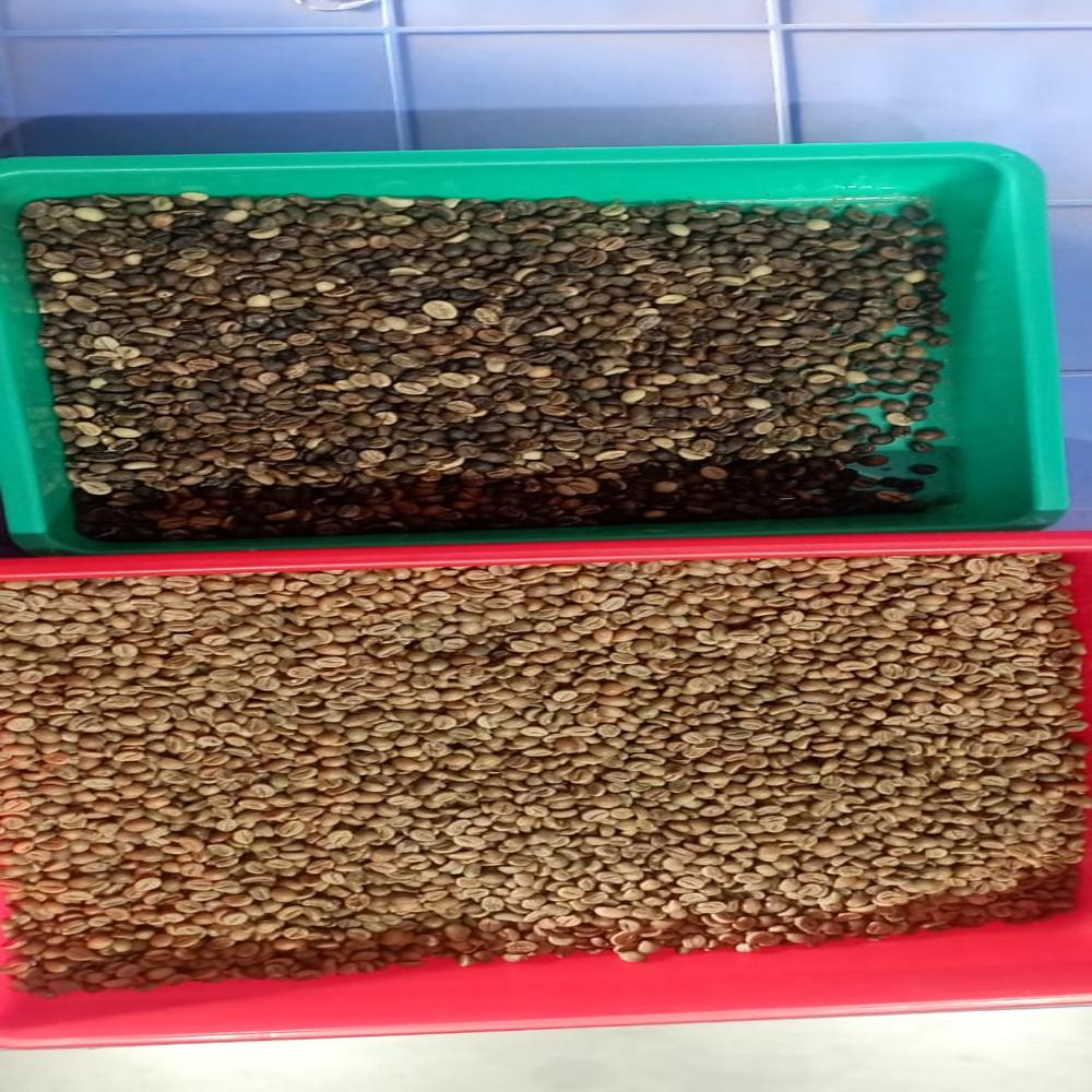 Coffee Bean Color Sorting Machine - Air Pressure: 5 Bar