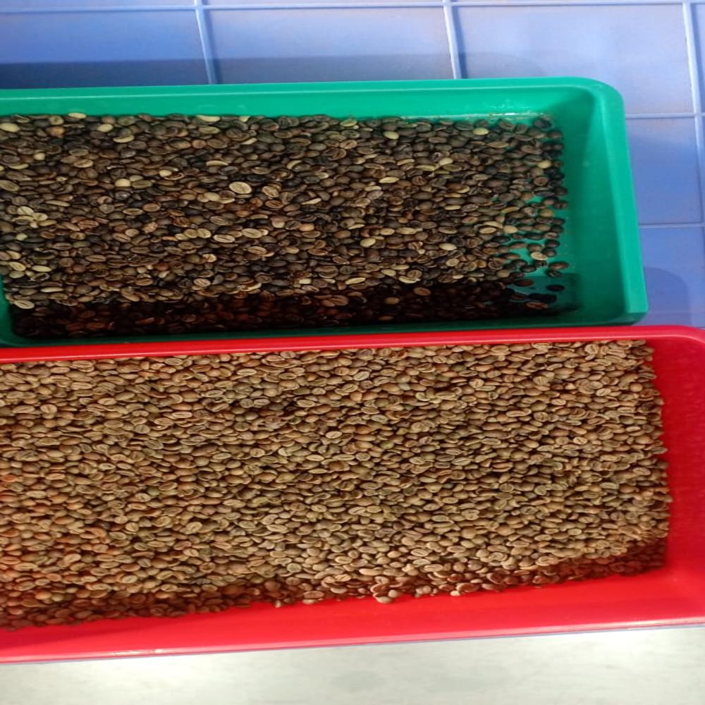 Coffee Bean Color Sorting Machine - Air Pressure: 5 Bar