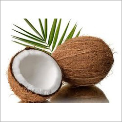 Mature Coconuts