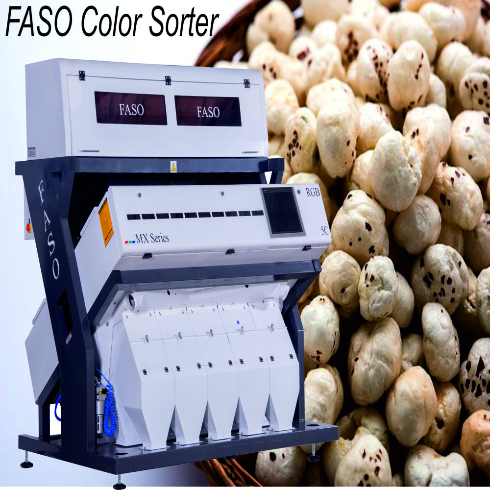 Makhana Color Sorter 5 Chute Mx - Series - Accuracy: 99.99  %