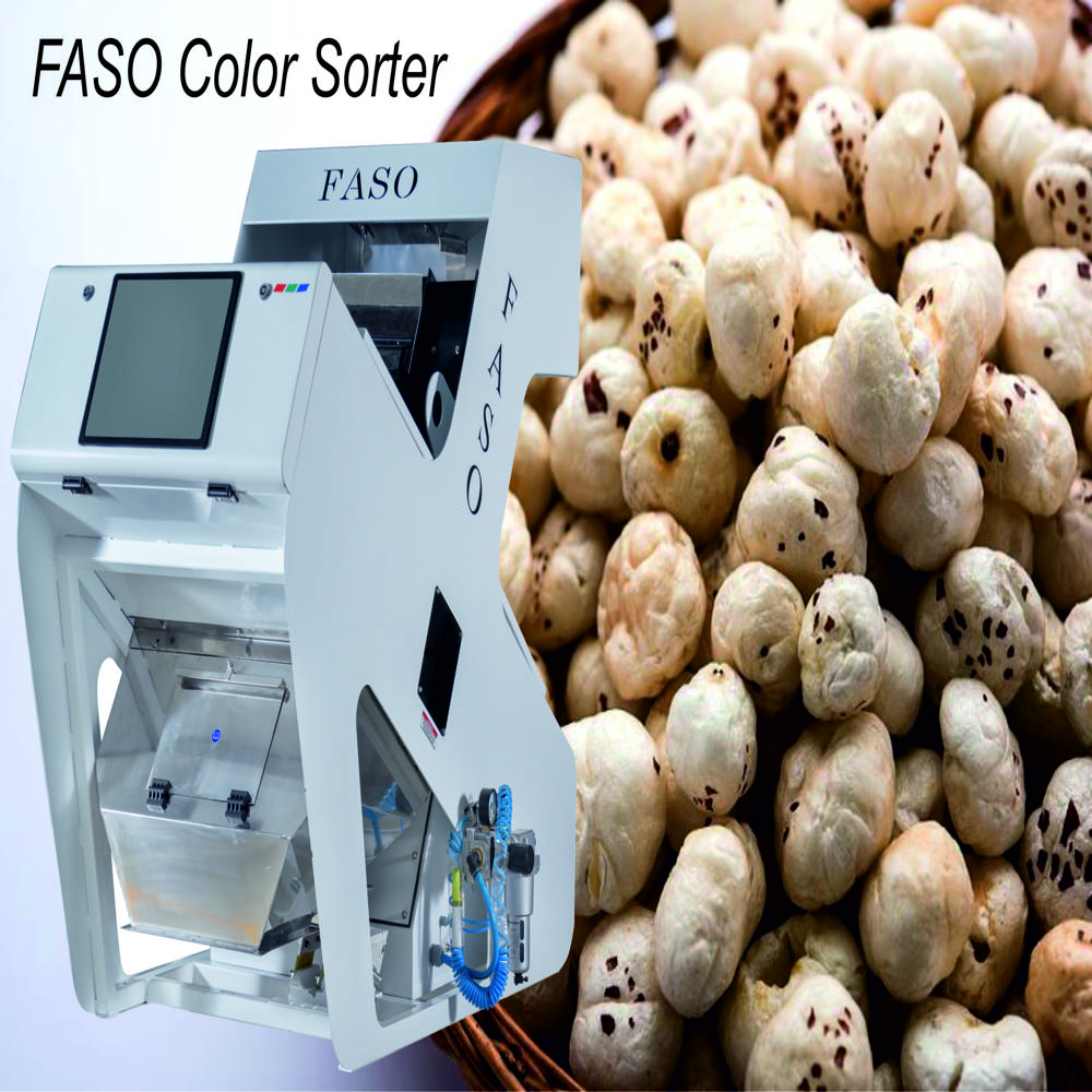 Makhana Color Sorter 1 Chute PEP - Series