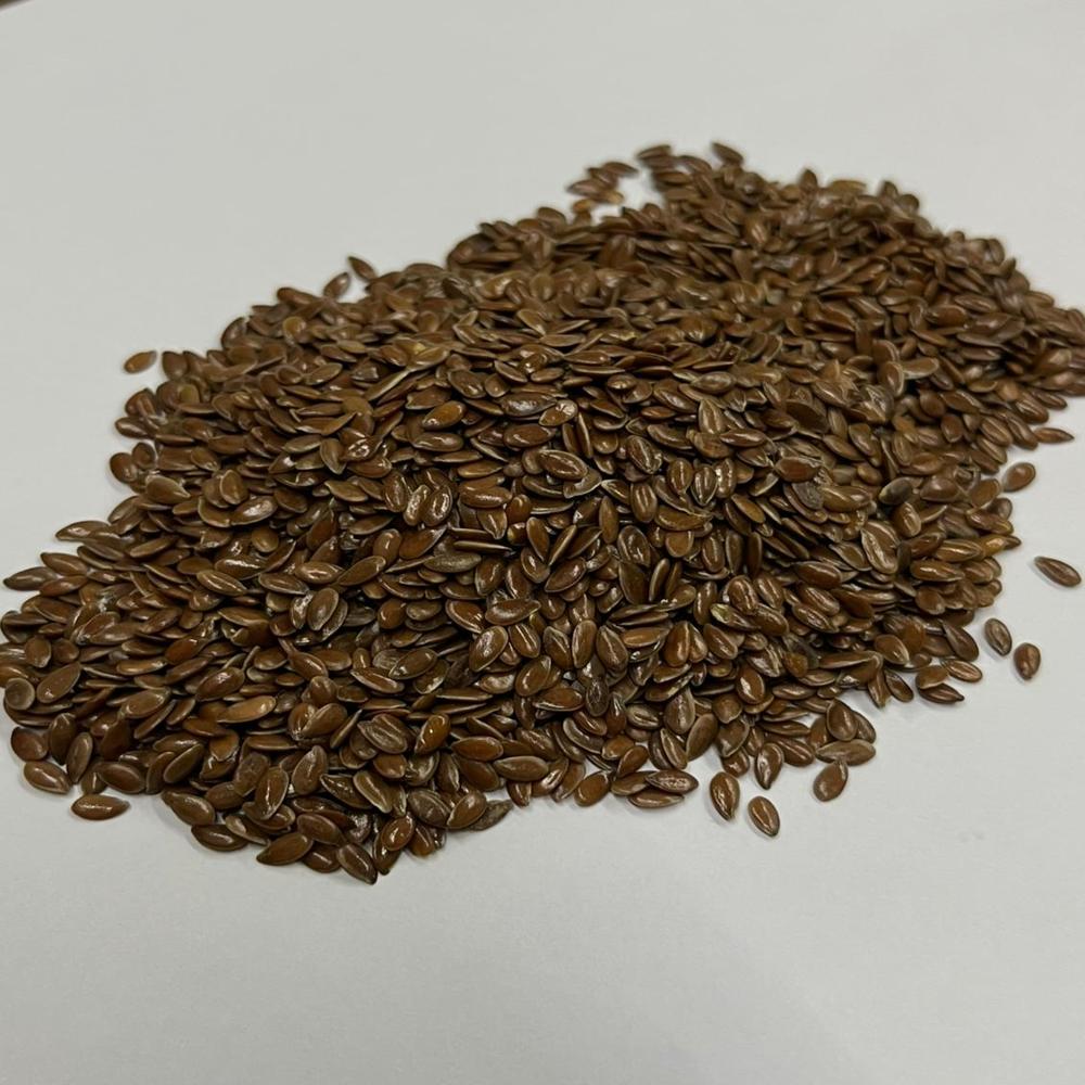 Flax Seeds