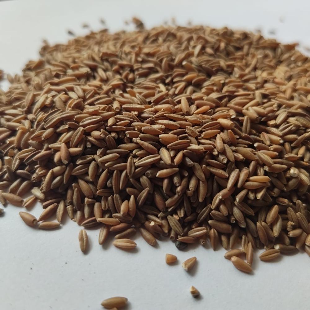 Brown Bamboo Rice