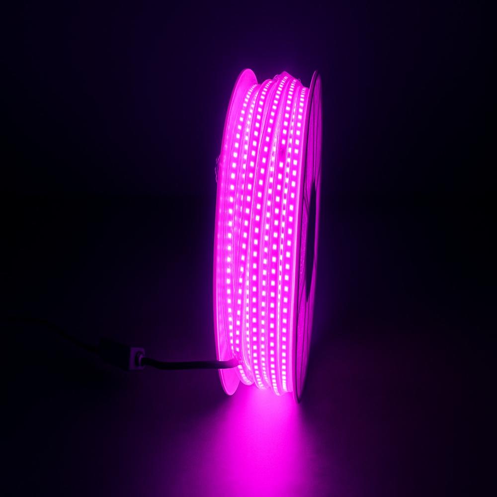 50MTR PINK ROPE LIGHT