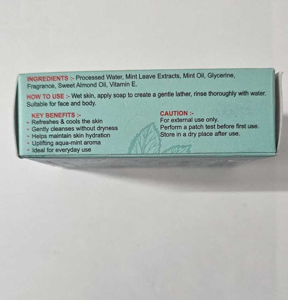 100gm Aqua Mint Soap
