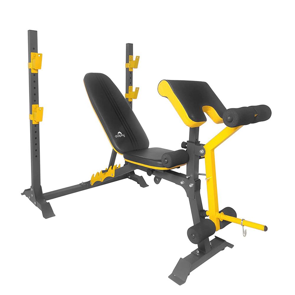 Adjustable Olympic Weight Bench With Leg Developer
