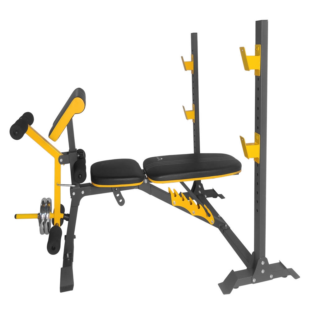 Adjustable Olympic Weight Bench With Leg Developer