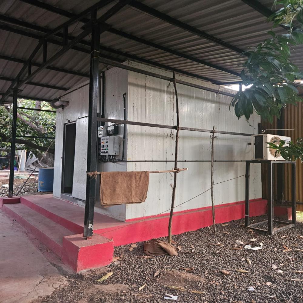 Mango Ripening Chamber - Features: High Quality