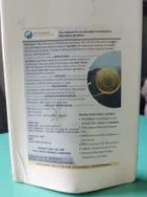 Ammonia Reducing Nitrifying Bacteria