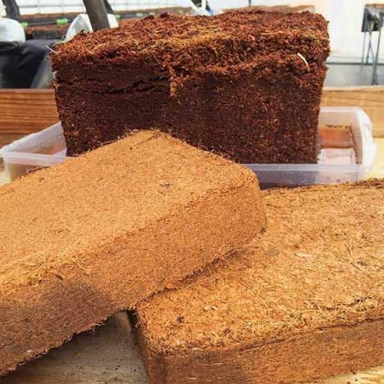 Cocopeat Brick