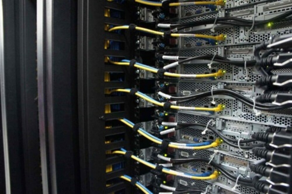 LAN Networking Service