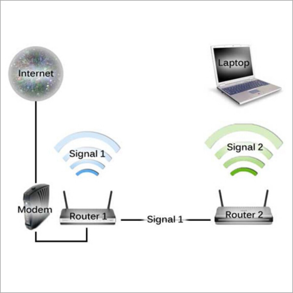 LAN Networking Service