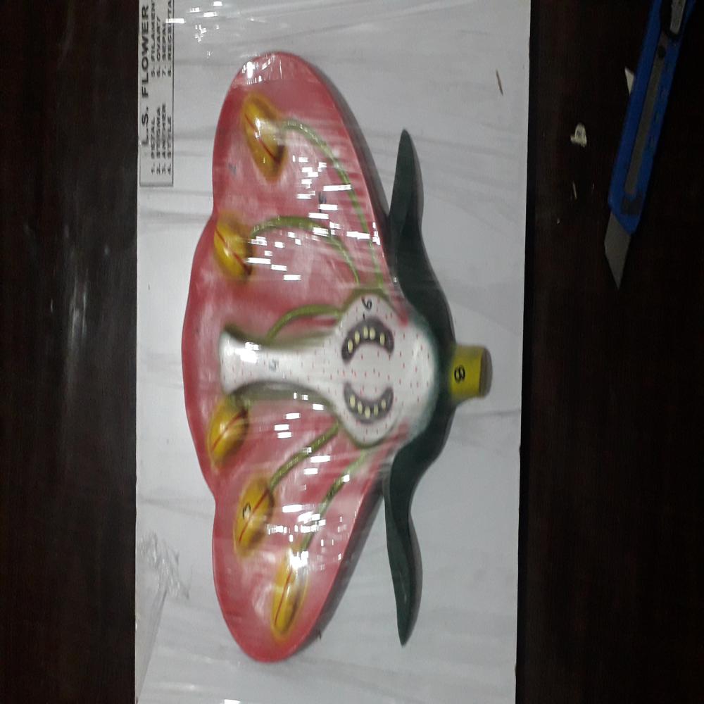human organ model